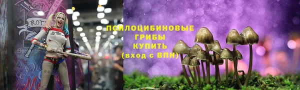 apvp Михайлов