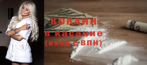 шишки Медвежьегорск