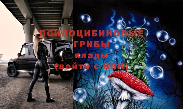 шишки Медвежьегорск