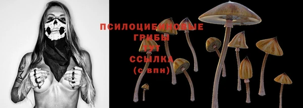 соль ск Мегион