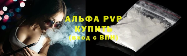 прущие грибы Медногорск