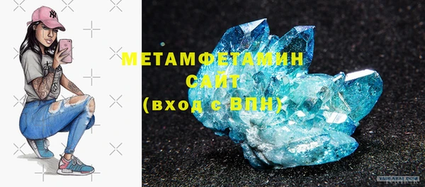 шишки Медвежьегорск