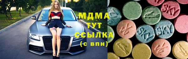прущие грибы Медногорск