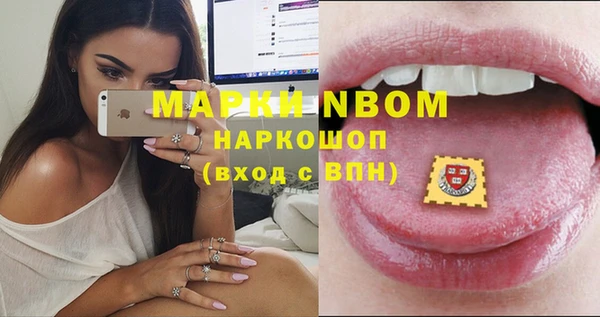 прущие грибы Медногорск