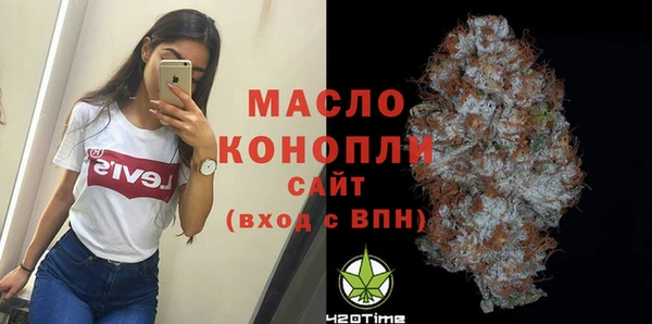 шишки Медвежьегорск