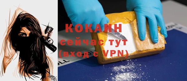 прущие грибы Медногорск