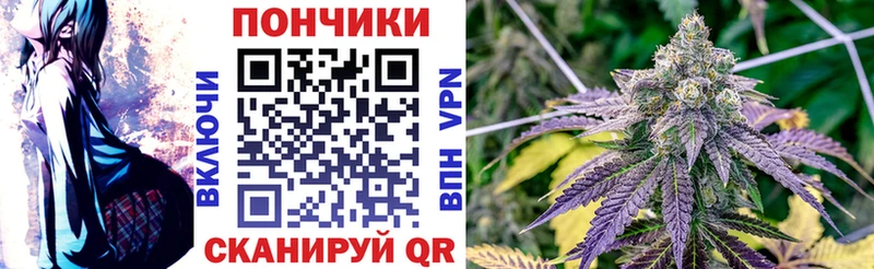 Купить  Анапа  Бошки Шишки Ganja 